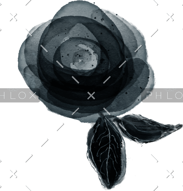 demo-attachment-39-header-image-2